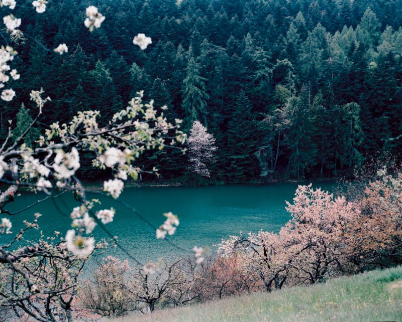 michaelanagyidaiova_btcoom2020_02.jpg